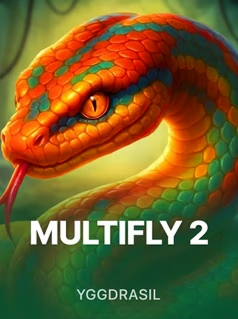Juego Multifly 2